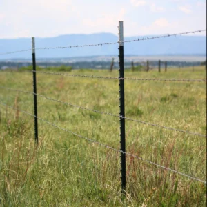 T Fencing posts
